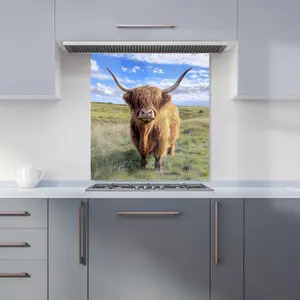 Highland Cow In Summer Kitchen Splashback