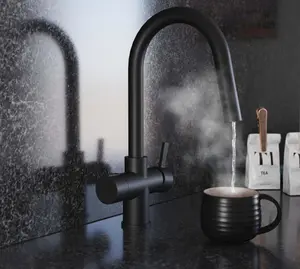 Liquida HT45MB 4 In 1 Black Pull out Spray Instant Boiling Water Kitchen Tap