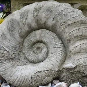 Ammonite Fossil Stone Statue Thick Outdoor Garden Ornament Decoration British Made Sculpture