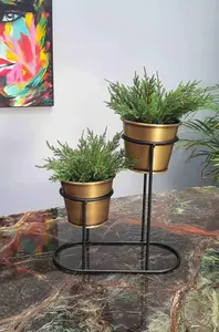 Rozi 2in1 Gold Succulent Plant Pot