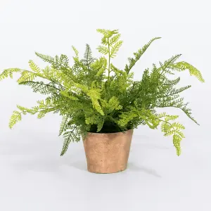 Blooming Artificial - 27cm / 1ft Faux Forest Fern