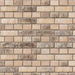 Ibstock New Ivanhoe Cream Brick 65mm Mini Pack 250