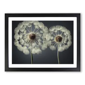 Creative Dandelion Flowers - Single Picture Frame Print Black / 46cm H x 64cm W x 2cm D