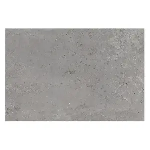 Mythos Matt Grey Concrete Effect Porcelain Outdoor Tile - Pack of 1, 0.54m² - (L)900x(W)600