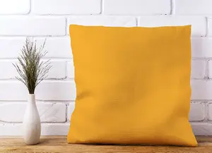 Cantaloupe Orange Cushions 45cm x 45cm