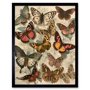 Alisina Vintage Cottagecore Aesthetic Butterflies Insect Study - Single Picture Frame Print