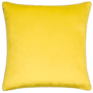 Paoletti Meridian Velvet Piped Feather Filled Cushion