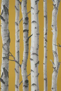 Fine Decor Birch Trees Mustard Wallpaper FD43290