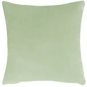 Evans Lichfield Eden Trail Botanical Velvet Feather Filled Cushion