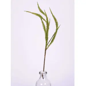 Bloom Artificial Single Dog Tail Fern Stem - Faux Fake Silk Flower Indoor Home Decoration Floral Arrangements - Measures L50cm