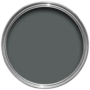 Farrow & Ball Estate Downpipe Eggshell Metal & wood paint, 750ml