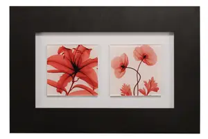 Interiors by Premier Red Poppy Glass Framed Double Wall Art