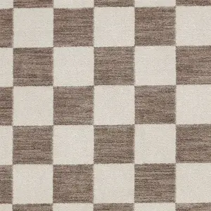 Baltimore 66618 Checkerboard Geometric Modern Rugs in Grey - 80x150cm