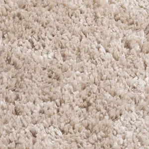 Larissa Stone 100x150cm Shaggy Rug