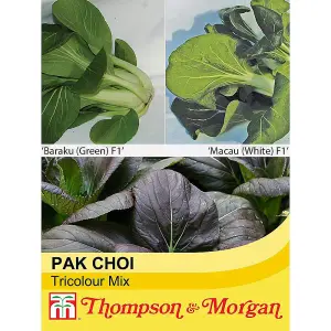 Pak Choi Tricolour Mix 1 Seed Packet