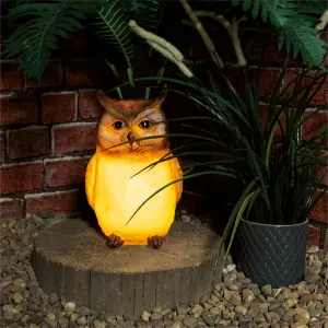 Garden Outdoor Solar Powered Light Up Animal Owl Bird Ornament Gnome Decoration