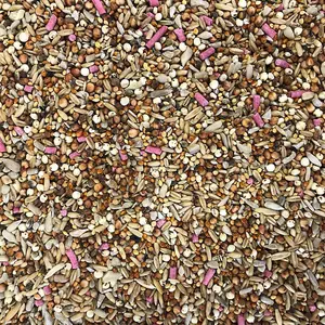 Bucktons Superior 12 Seed Blend 20kg