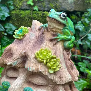 Frog Toad House wildlife shelter, face in tree stump design with frog decoration, novelty frog or wildlife lover gift