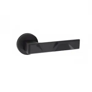 1 Pair Modern Nova Design Matt Black Premium Door Handles Round Rose - Golden Grace