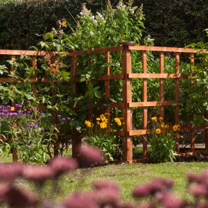 Rowlinson 6x4 Heavy Duty Trellis Dip Treated Pack of 3