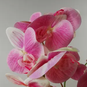 70cm Artificial Orchid Light Pink with Black Ceramic Planter