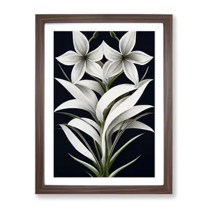 XV1022-3943X Shining Flowers - Single Picture Frame Print Walnut Framed / 64cm H x 46cm W x 2cm D