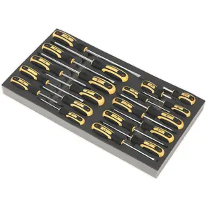 Comprehensive 20 Piece Screwdriver Set with Durable Tool Tray for Organized Storage