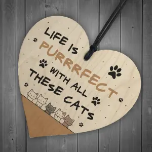 Life Is Perfect With All These Cats Sign Home Sign Funny Crazy Cat Lady Sign Pet Lover Gift