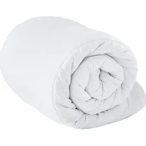 Riva Home Cosy Home Anti-Allergy Double 4.5 Tog Duvet