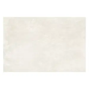 Zen Matt Ivory Concrete Effect Porcelain Outdoor Tile - Pack of 1, 0.54m² - (L)900x(W)600