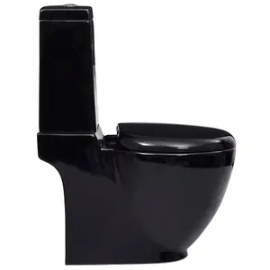 Berkfield Ceramic Toilet Back Water Flow Black