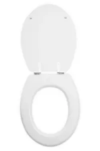 Maison by Premier Brooks Matte White Toilet Seat