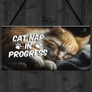 Red Ocean Novelty Cat Signs For Home CAT NAP IN PROGRESS Funny Cat Signs For Cat Lovers Cat Gifts Cat House Sign Friendship