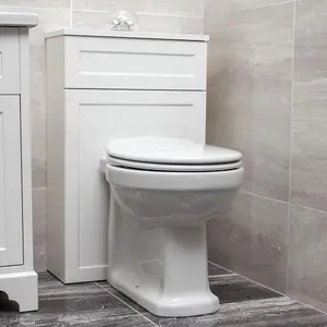 Violet Traditional Style Design Back to Wall Ceramic Toilet