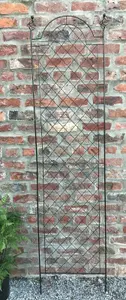 Scroll Garden Wall Trellis Climbing Plant Support Frame Black Extra Large (H)200cm