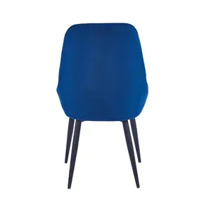 Fern Upholstered Dining Chair (Set of 2) Blue