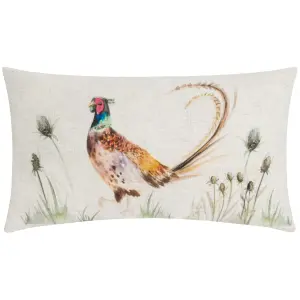 Evans Lichfield Country Pheasant Feather Rich Cushion