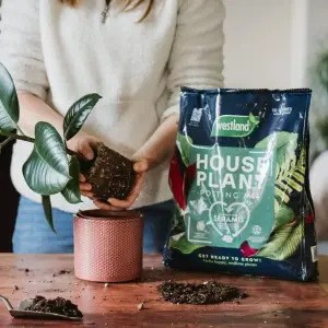 Peat Free Compost for Indoor Plants - 2 x 10 Litre Bags - House Plant Potting Mix - Promotes Healthy Root Growth