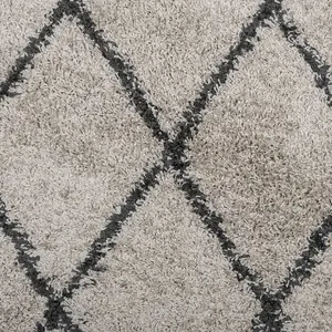 Shaggy Rug PAMPLONA High Pile Modern Beige and Anthracite 160x230 cm