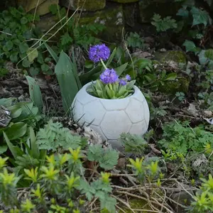 Stone cast Small Football Garden Pot