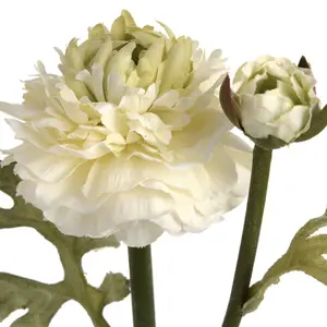 UK Homeliving Green Ranunculus Spray