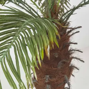 Homescapes Phoenix Palm Tree in Pot, 160 cm Tall