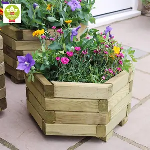 Zest Set of 3 Marford Wooden Hexagonal Garden Planters Flowers