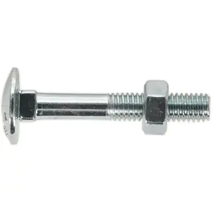 Bulk Zinc Plated Coach Bolt and Nut Set - 100 Pack M6 x 40mm DIN 603