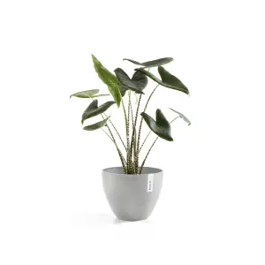 Antwerp Smooth Finish Ecopot 50cm White