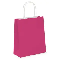 Pack of 20 Coloured Paper Party Bags 18cm x 22cm x 8cm Gift Bag With Handles Birthday Loot Bag Recyclable (Fuchsia)