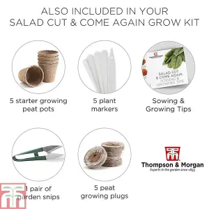 Seed Grow Kit Cut & Come Again Salad Leaves - Ideal Gift