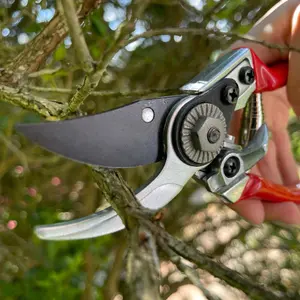 Darlac Small Bypass Pruner, DP930