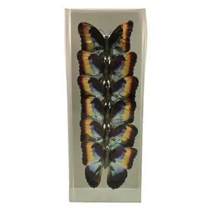 Butterfly Christmas Clip Ornament Blue/Brown