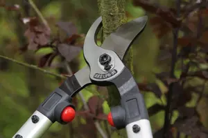 ARS LPB-30S Loppers 482mm Red/Grey "Voted Best for Professionals in the English Garden"